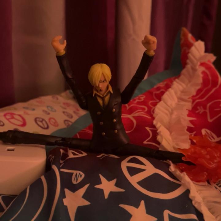 literally_sanji